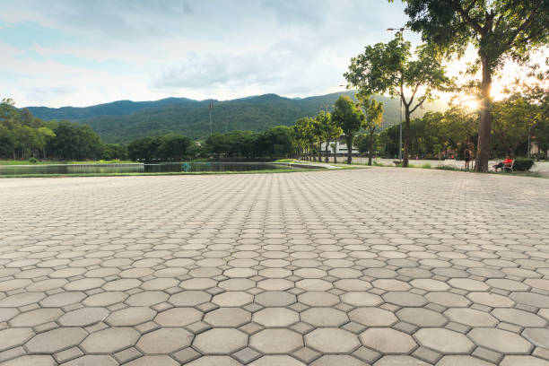 Best Custom Driveway Pavers  in Clarcona, FL